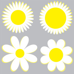 Set of daisy flowers icons isolated on background vector illustration.