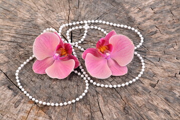 Orchid, pink flowers with pearls, on wooden background. - 751418762