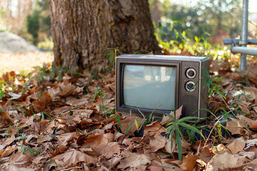 不法投棄された古いテレビ