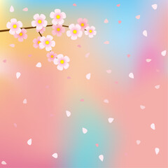 Cherry blossom tree petals flutter in the sky. Spring is coming