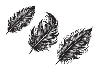 Obraz premium set of feathers Vactor