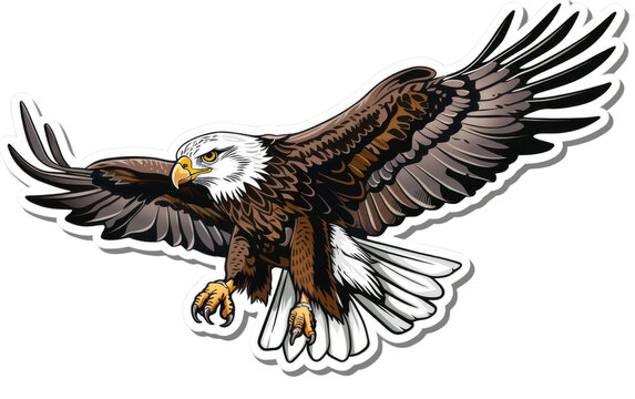 Sticker with a Hawk Image isolated on transparent Background