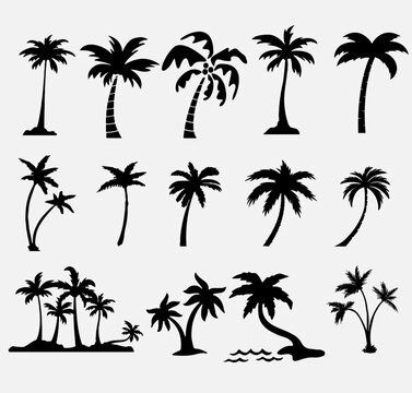 Black palm trees set isolated on white background. Palm silhouettes. Design of palm trees for posters, banners and promotional items. Vector illustration