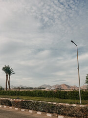 Egypt view of the park, desert in Egypt, Sharm El-Sheikh, Second Sharm Al Shiekh, South Sinai...