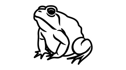 Frog icon. Frog sign isolated on white background. Vector illustration