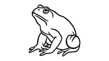 Frog icon. Frog sign isolated on white background. Vector illustration