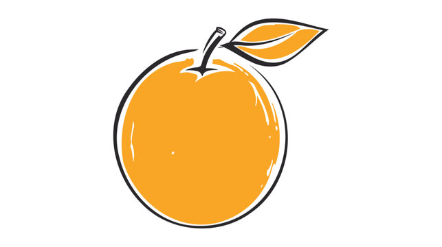 orange illustration drawing. line art orange design vector on white background