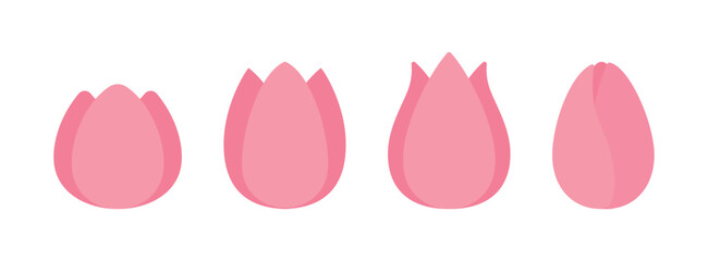 An illustration set of the pink 'tulip', a flower representing the spring season. A set of 'tulip' shapes in various shapes.