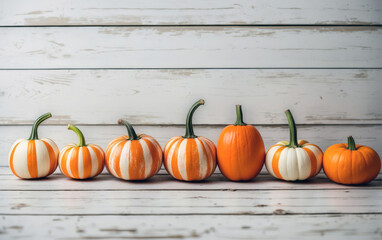 Colorful halloween pumpkins autumn decoration, holiday seasonal concept.
