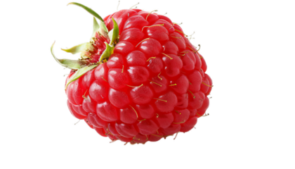 A close up of the one fresh raspberry.