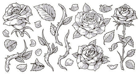 Blooming roses monochrome set labels