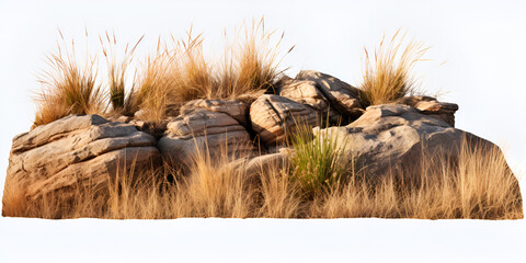 Watercolor savanna dry grass meadow shrubs with rocks on white background 