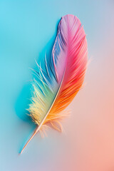 A colorful feather on a pastel color background