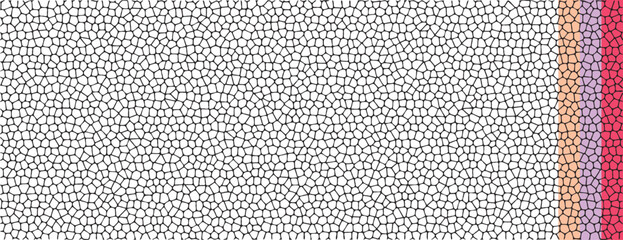 Stone cell background pattern vector, black white glass mosaic texture illustration, random geometric pebble tile grid graphic, gravel net mesh scale, rough skin leather backdrop template image - obrazy, fototapety, plakaty
