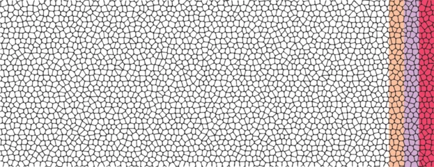 Foto op Canvas Stone cell background pattern vector, black white glass mosaic texture illustration, random geometric pebble tile grid graphic, gravel net mesh scale, rough skin leather backdrop template image © vladwel