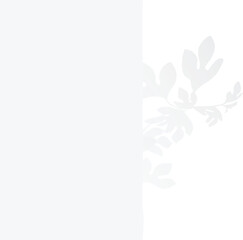 shadow of leaves of plant on white color wall background. Used for backgrounds, cardboards, tropic concepts, autumn for product presentation podium and mockup. Editable. EPS 10