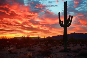 Wandcirkels tuinposter A large cactus stands in a desert landscape at sunset © Aliaksandr Siamko