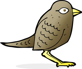 cartoon garden bird