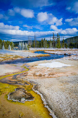 The Magic of Yellowstone 