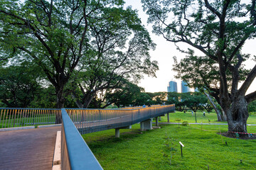 Green city park with sunset blue sky cloud pathway and beautiful trees track running  walking relax in park