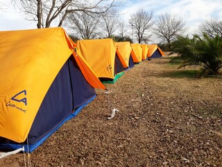 Carpas anaranjadas y azules