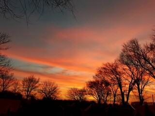 atardecer de invierno con arboles oscuros