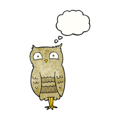 thought bubble textured cartoon owl