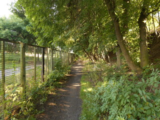 A path along the fence, lots of trees and bushes