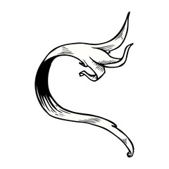 traditional hand drawn floral swirl