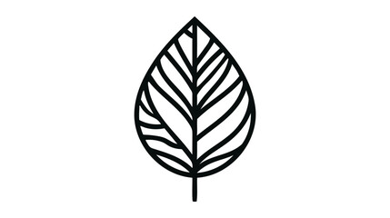 leaf icon vector, in flat style isolated on white background. leaf icon image illustration