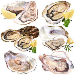 Fresh oysters with lemon isolated