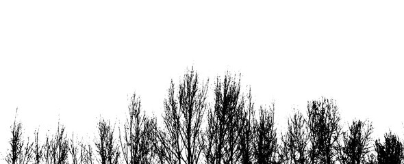 Abstract Background in Black and White - Art , Silhouette of trees in black and white
