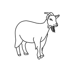 Outline draw goat