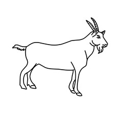 Outline draw goat