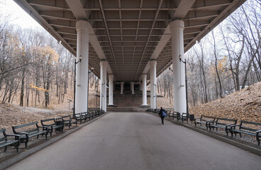 benches lined up under a bridge in a wooded area