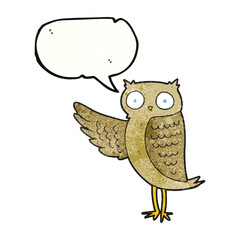 speech bubble textured cartoon owl