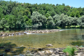 Detail of river Kupa near Orljakovo in Croatia