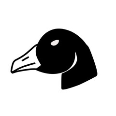 Vector domesticated animals