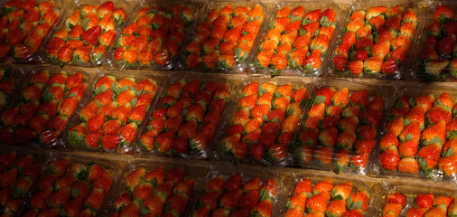 Strawberry boxes displayed in on the sacks of the fresh market