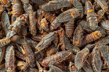 Pupa, Silkworm Fried Food Texture Background, Fried Insect Pattern Top View, Meat Substitute Banner