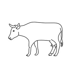Cow animal line icon