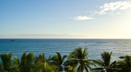 Beautiful ocean and palm tree scenery in Waikiki
