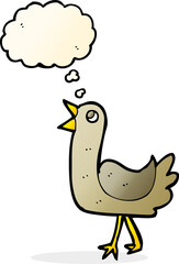 cartoon bird with thought bubble