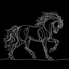 A single uninterrupted line drawing of a black and white horse against a black background.