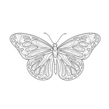Butterfly.Coloring book antistress for children and adults. Illustration isolated on white background.