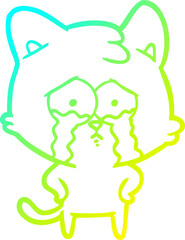 cold gradient line drawing cartoon crying cat