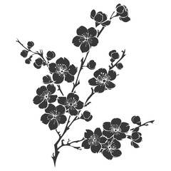 Obraz premium Silhouette Cherry blossoms or sakura flower black color only