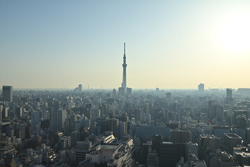 night view of Tokyo from Roppongi Hills
