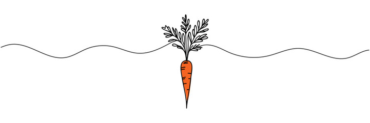 Carrot vegetable in continuous line drawing style isolated on white background. Vector illustration.