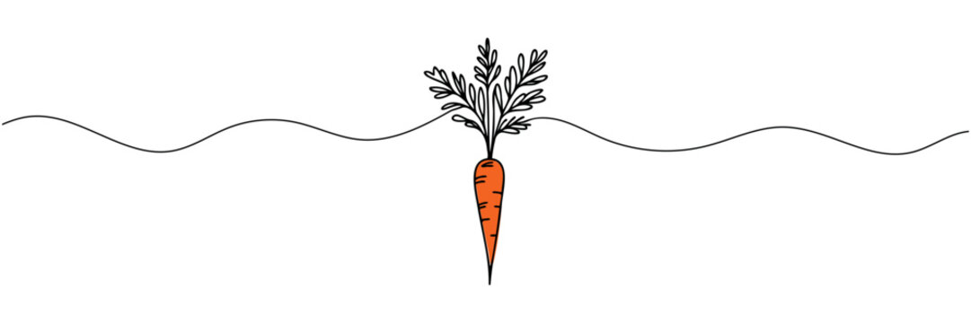 Carrot vegetable in continuous line drawing style isolated on white background. Vector illustration.
